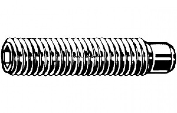 DIN915 Hexagon Socket  Set Screws  With Dog Point 柱端內(nèi)六角緊定